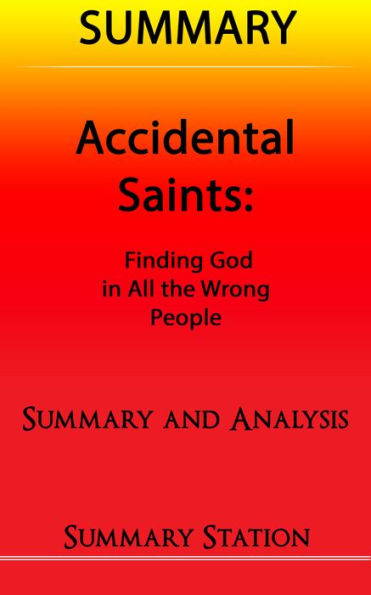 Accidental Saints Summary