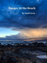 Title: Danger At the Beach, Author: Philip M Anselone