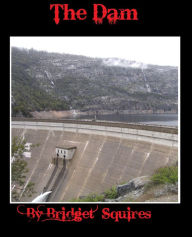 Title: The Dam, Author: Bridget Squires