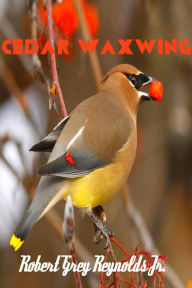 Title: Cedar Waxwing, Author: Robert Grey Reynolds Jr