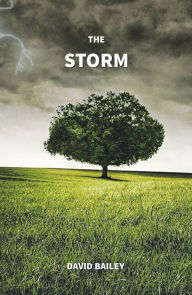 Title: The Storm, Author: David J. Bailey