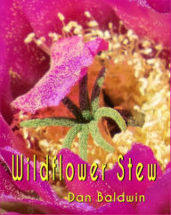 Title: Wildflower Stew, Author: Dan Baldwin