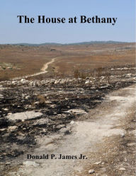 Title: The House at Bethany, Author: David W. Stoller MD