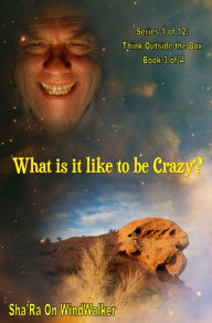 Title: What Is It Like To Be Crazy, Author: Jean-Frédéric Blanc