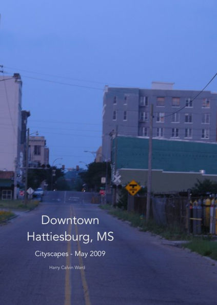 Downtown Hattiesburg, MS: Cityscapes May 2009