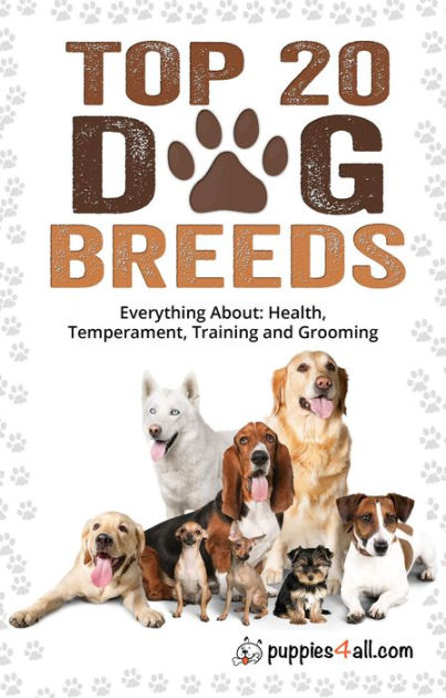 Dog Breeds: Top 20 Dog Breeds: Everything About Health, Temperament ...