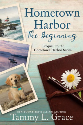 Hometown Harbor: The Beginning