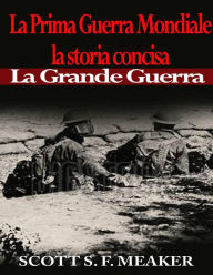 Title: La Prima Guerra Mondiale: la storia concisa - La Grande Guerra, Author: Scott S. F. Meaker