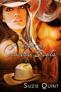 A Knight in Cowboy Boots (McKnight Romances, #1)