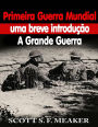 Primeira Guerra Mundial: uma breve introdução - A Grande Guerra