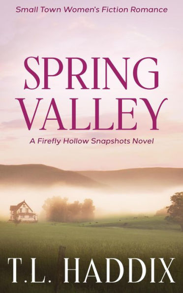 Spring Valley: A Small Town Women's Fiction Romance (Firefly Hollow Snapshots, #1)