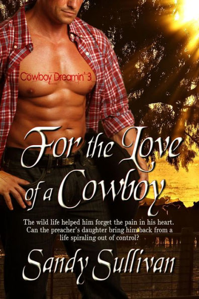 For the Love of a Cowboy (Cowboy Dreamin', #3)