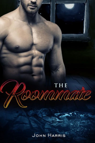 The Roommate (LGBT John's Journal, #1)