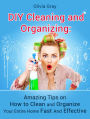 Diy Cleaning and Organizing: Amazing Tips on How to Clean and Organize Your Entire Home Fast And Effective