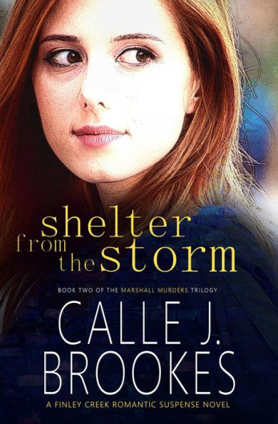 Shelter from the Storm (Finley Creek, #2)