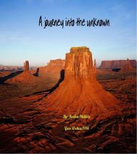 Title: A Journey into the Unknown, Author: Reuben Phihlela