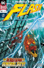 The Flash (2016-) #44