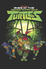Teenage Mutant Ninja Turtles: Rise of the TMNT