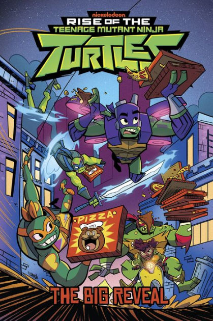 Rise of the Teenage Mutant Ninja Turtles: The Big Reveal by Matthew K ...