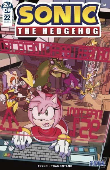 Sonic the Hedgehog #22