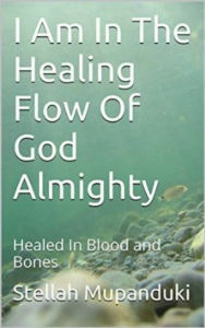 Title: I Am In The Healing Flow Of God Almighty: Healed in Blood and Bones, Author: Stellah Mupanduki