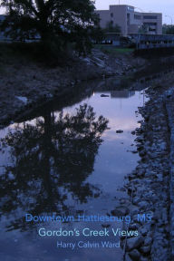 Title: Downtown Hattiesburg, Gordon's Creek Views: May 2009, Author: Harry Calvin Ward