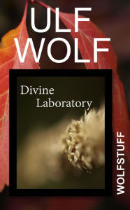 Title: The God Lab, Author: Ulf Wolf