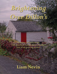 Title: Brightening Over Dillon's, Author: Liam Nevin