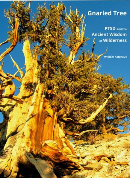 Gnarled Tree: PTSD and the Ancient Wisdom of Wilderness