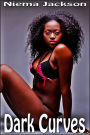 Dark Curves (BBW Interracial Romance BWWM)