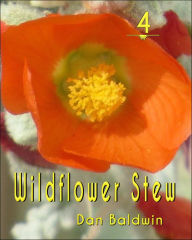 Title: Wildflower 4, Author: Dan Baldwin