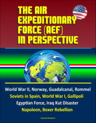 Title: The Air Expeditionary Force (AEF) in Perspective: World War II, Norway, Guadalcanal, Rommel, Soviets in Spain, World War I, Gallipoli, Egyptian Force, Iraq Kut Disaster, Napoleon, Boxer Rebellion, Author: Progressive Management