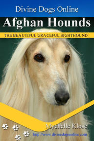 Title: Afghan Hound, Author: Mychelle Klose