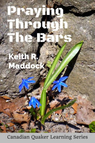 Title: PrayingThrough the Bars: A Pastoral Testimony For Prison Visitors, Author: Keith Robert Maddock