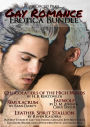 The Circlet Press Gay Romance Bundle