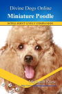 Miniature Poodle