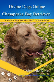 Title: Chesapeake Bay Retriever, Author: Mychelle Klose