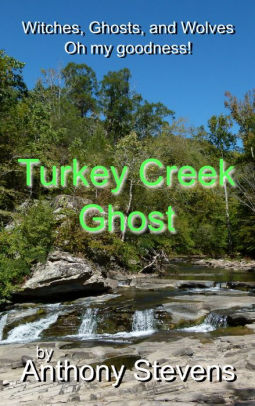 Turkey Creek Ghost By Anthony Stevens Nook Book Ebook Barnes