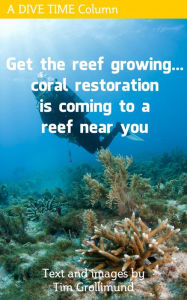 Title: Get The Reef Growing... Coral Restoration Is Coming To A Reef Near You, Author: Tim Grollimund