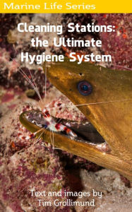 Title: Cleaning Stations: the Ultimate Hygiene System, Author: Tim Grollimund