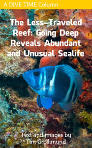 Title: The Less Traveled Reef: Going Deep Reveals Abundant and Unusual Sealife, Author: Tim Grollimund