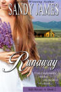 Runaway (Safe Havens 2)