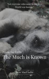 Title: From the Little the Much is Known, Author: Sean Pol MacUisdin