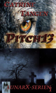 Title: Pitch13, Author: Catrine Ziddharta Tangen