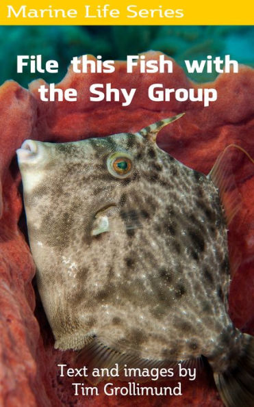 File this Fish with the Shy Group