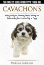 Cavachons: The Owner's Guide from Puppy To Old Age - Choosing, Caring for, Grooming, Health, Training and Understanding Your Cavachon Dog or Puppy