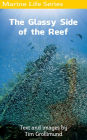 The Glassy Side of the Reef