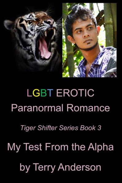 LGBT Erotic Paranormal Romance My Test From The Alpha (Tiger Shifter Series Book 3)