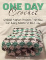 One Day Crochet: Unique Afghan Projects That You Can Easily Master in One Day