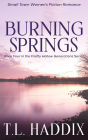 Burning Springs: A Small Town Women's Fiction Romance (Firefly Hollow Generations, #4)